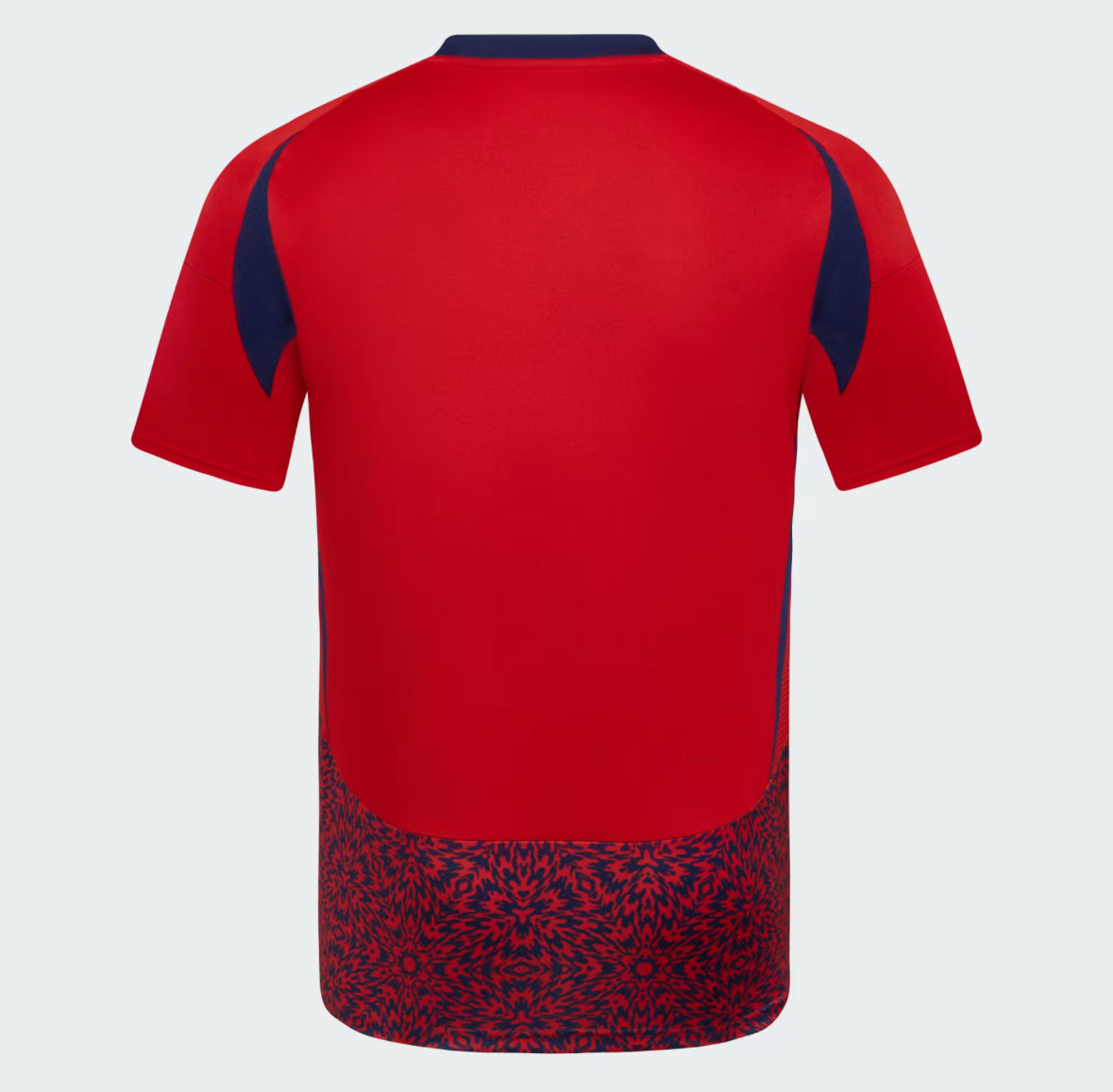 Costa Rica Local 24/25